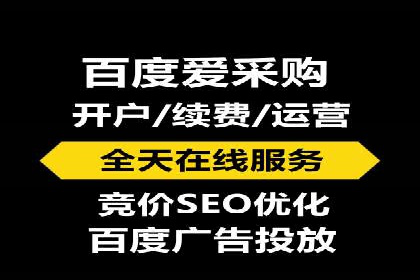 SEM公司成功案例分享：搜索引擎优化的力量